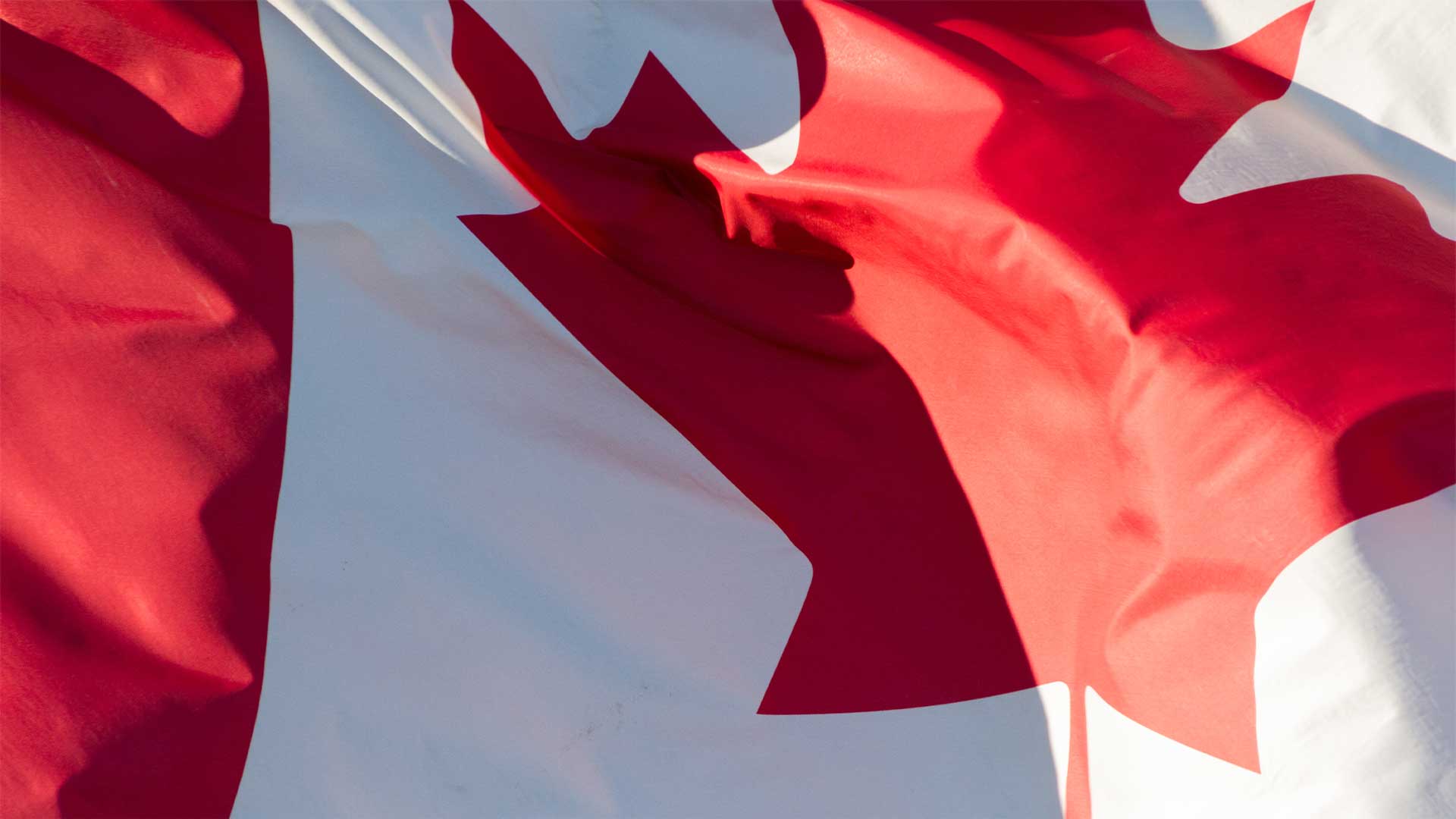 Statement from Conservative Leader Pierre Poilievre on Polish Constitution Day